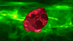 上古魔兽血液融合天地变色