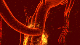 毒火攻心烈焰焚身神功爆发