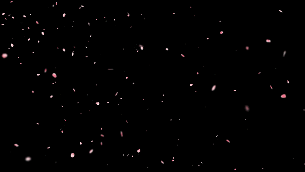 粉色桃花花瓣迎风飘落