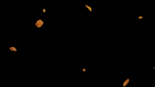 秋风落叶飘散特效