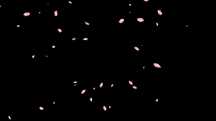 粉色花瓣缓缓飘落