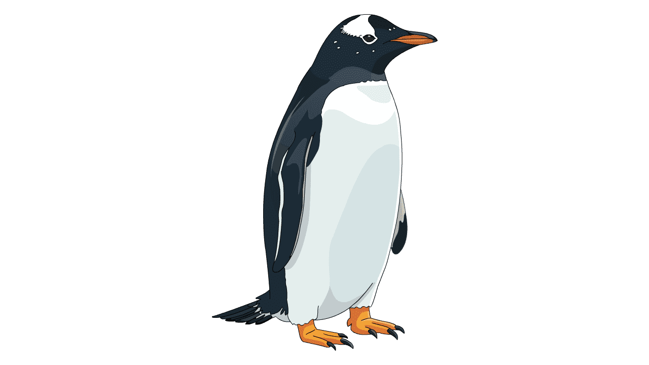 企鹅