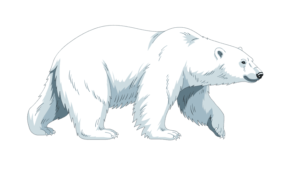 北极熊