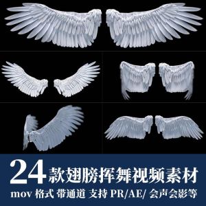 24款翅膀挥舞视频素材