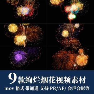 9款绚烂烟花视频素材