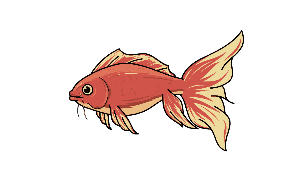 AN格式动物异兽，鱼(1)