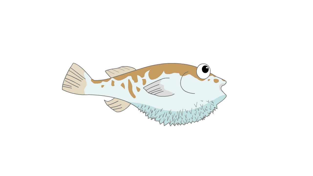 AN格式动物异兽，河豚