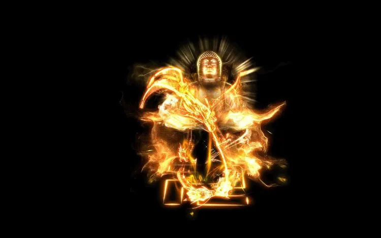 AN龙特效，金佛特效