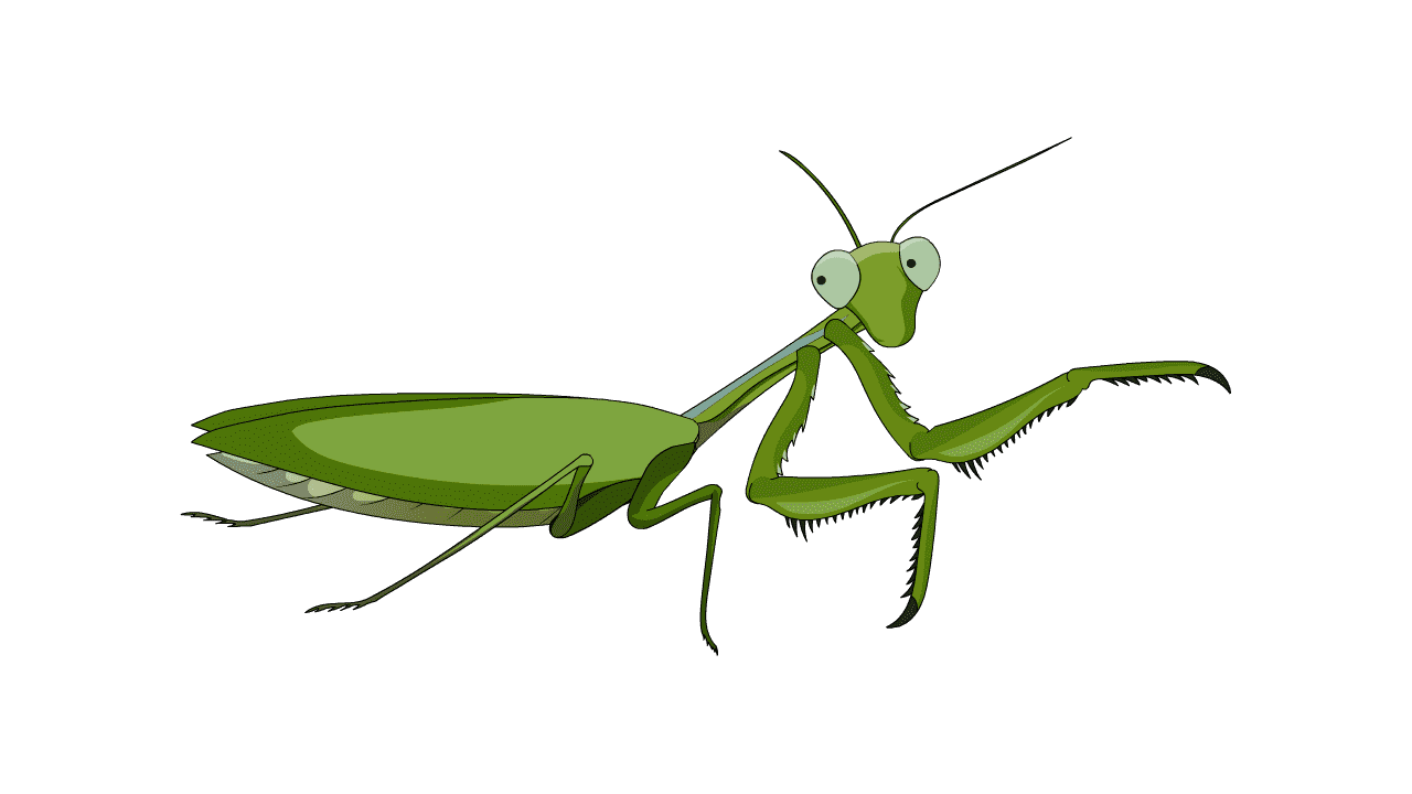 AN格式动物异兽，螳螂