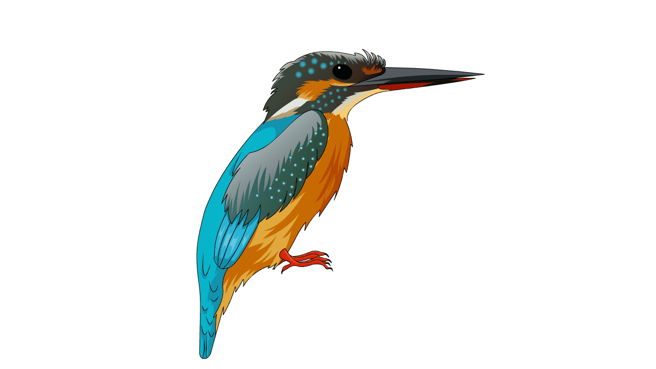 AN格式动物异兽，鸟