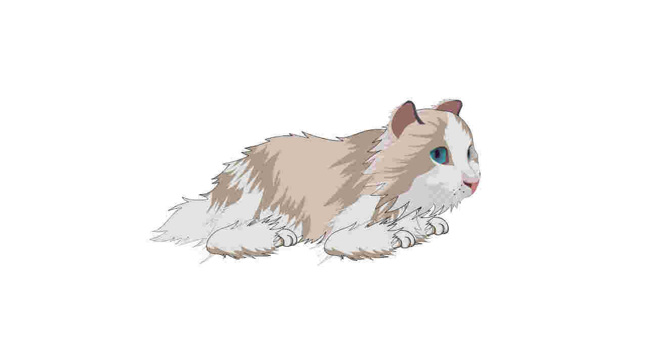 AN格式动物异兽，猫