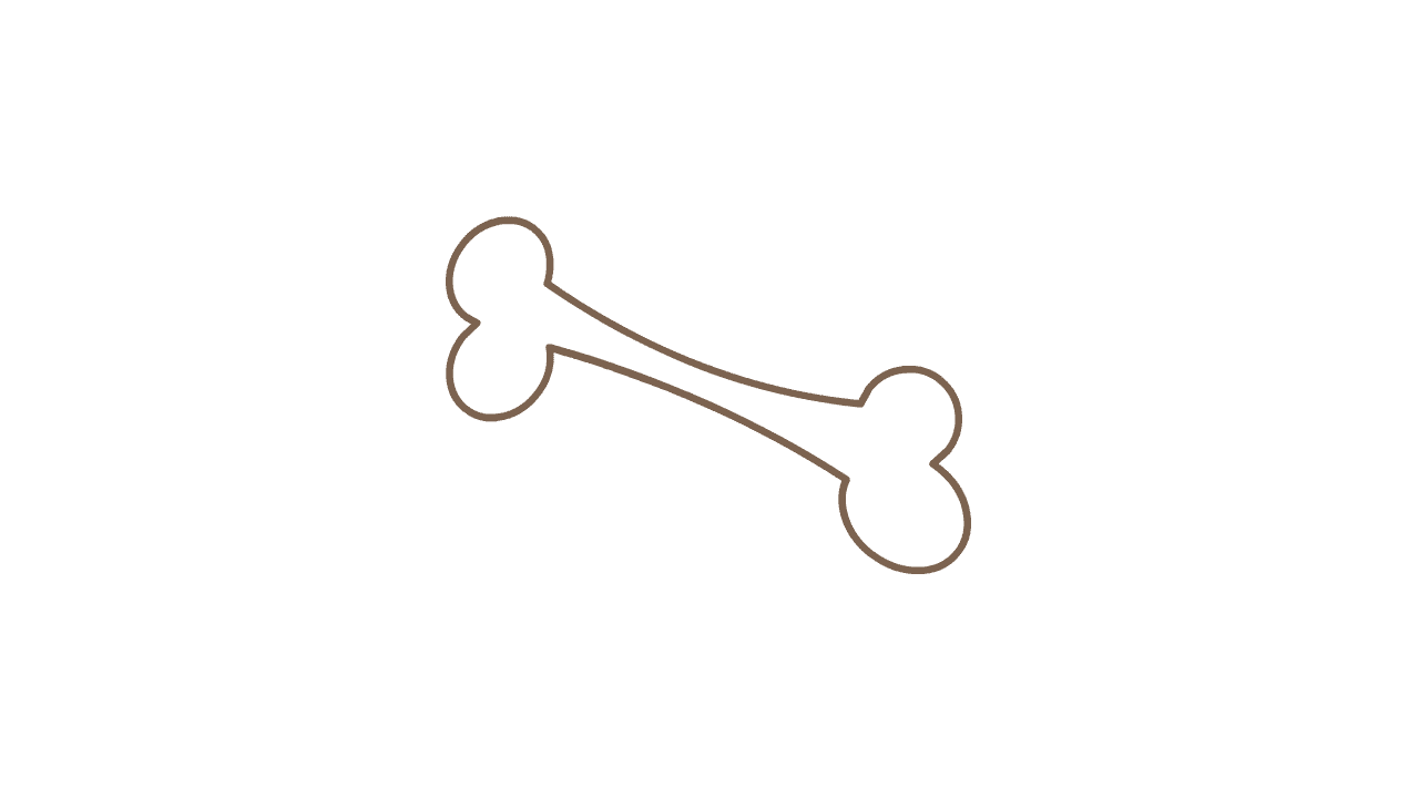 AN格式道具，骨头