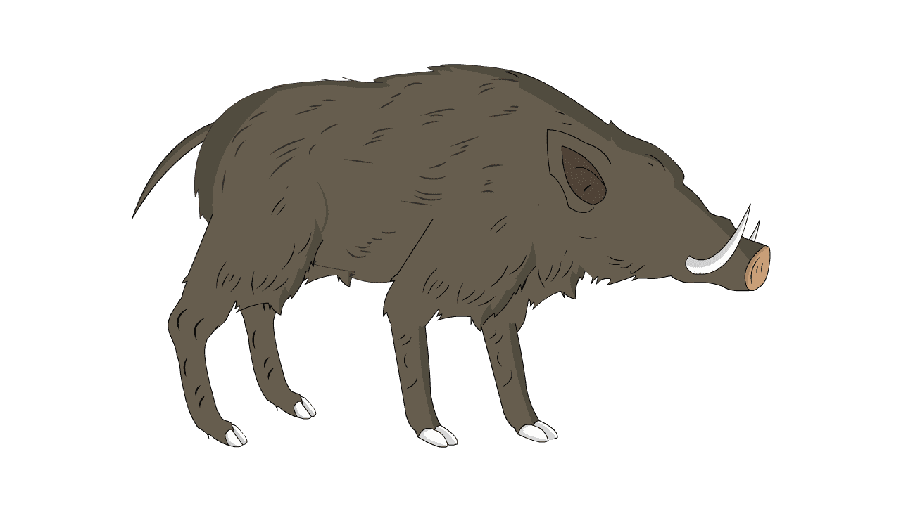 AN格式动物异兽，野猪