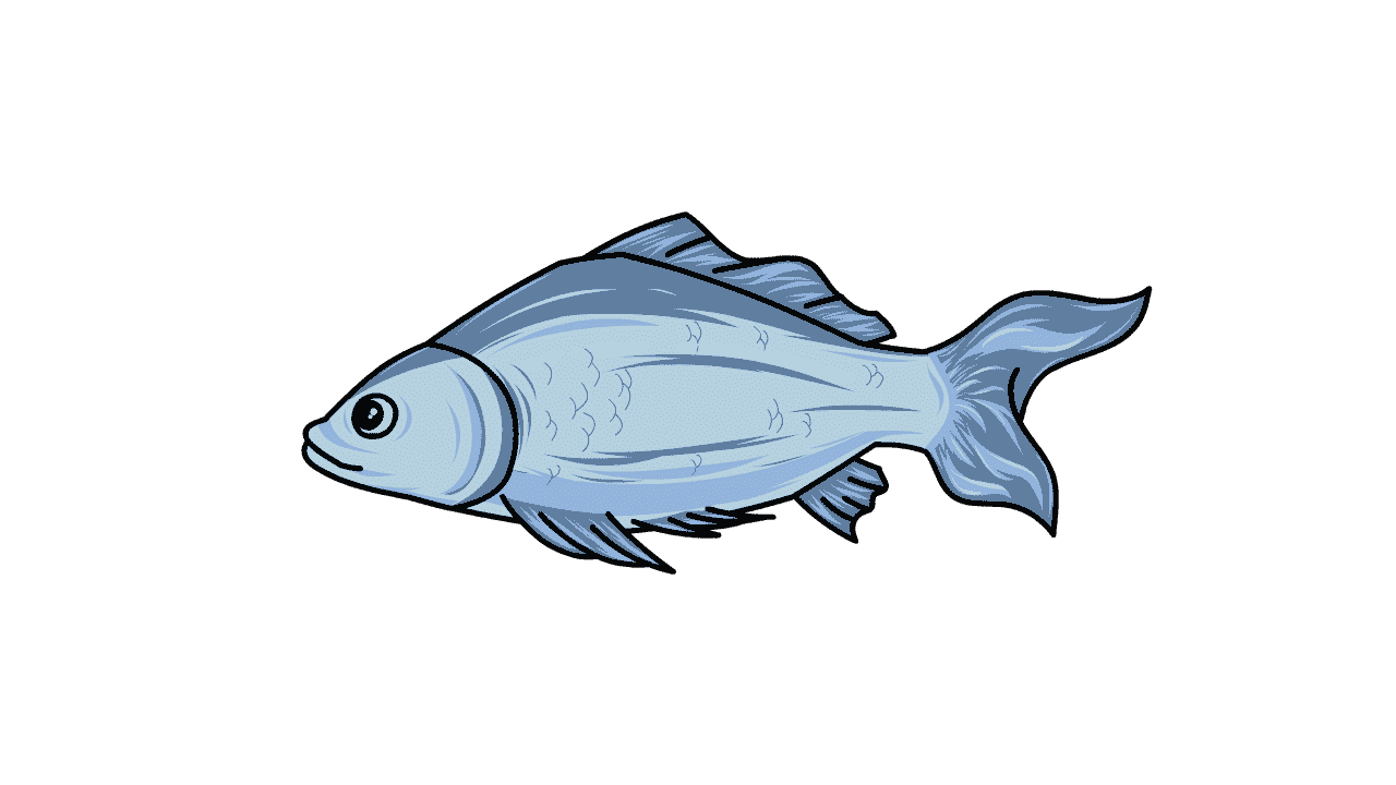 AN格式动物异兽，鱼(2)