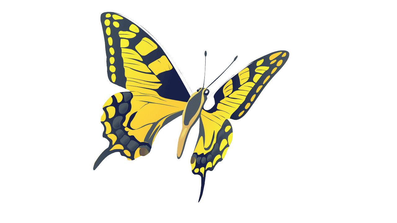 AN格式动物异兽，蝴蝶