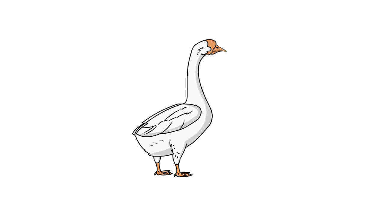 AN格式动物异兽，鹅