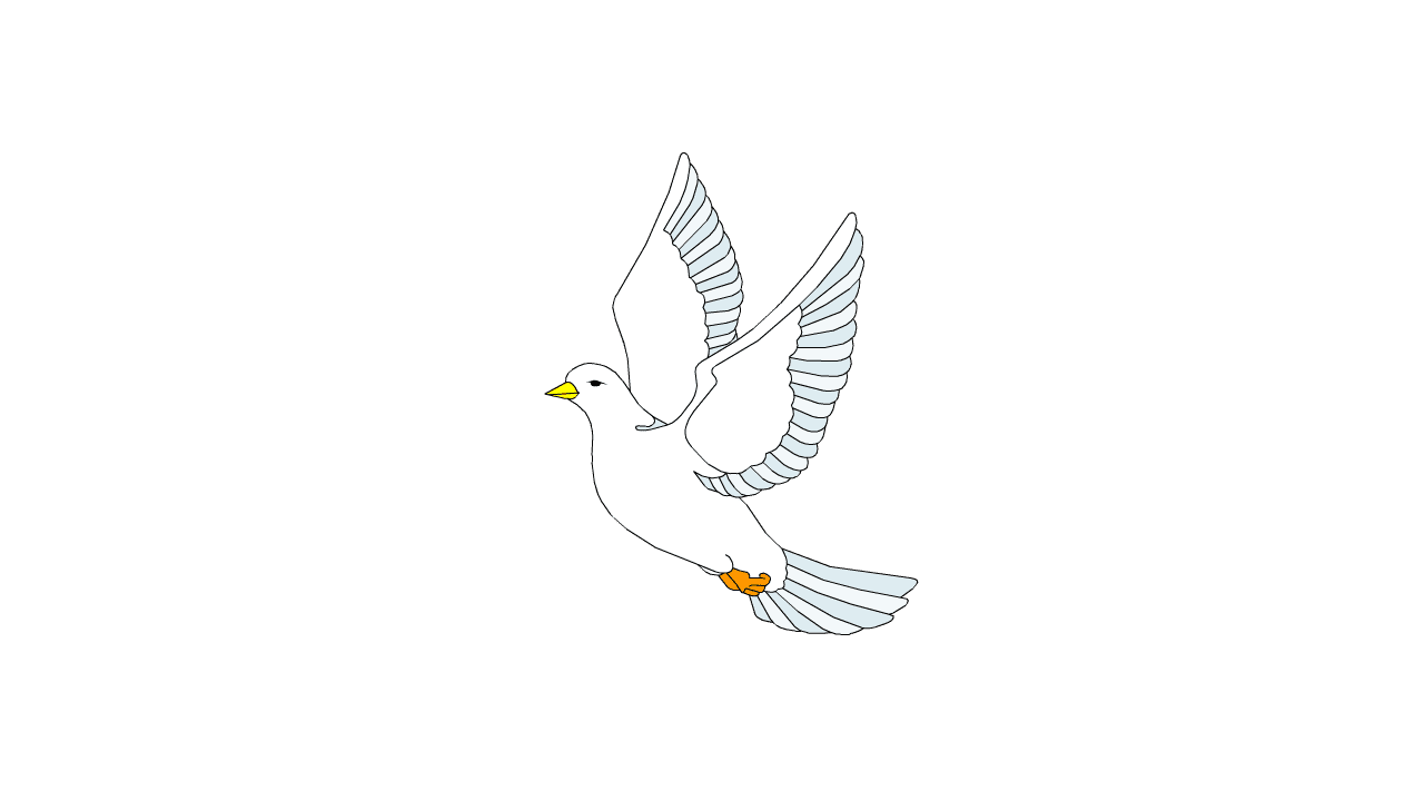 AN格式动物异兽，鸽子