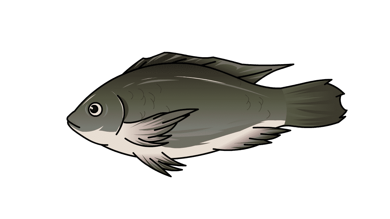 AN格式动物异兽，鱼(3)