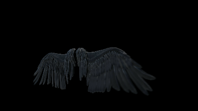 AN格式素材，翅膀扇动1