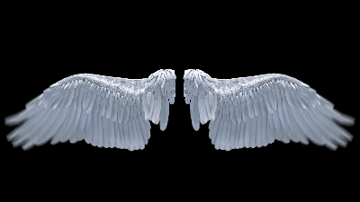 AN格式素材，翅膀扇动