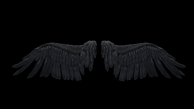 AN格式素材，翅膀