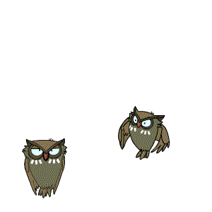 猫头鹰 2