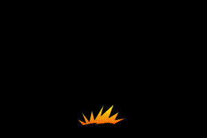 闪光 金光 冒金光