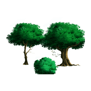 大树 2