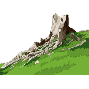 斜坡上的枯树桩