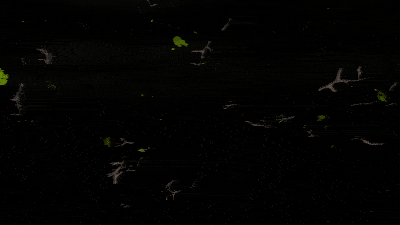 AN格式素材，沙尘风暴