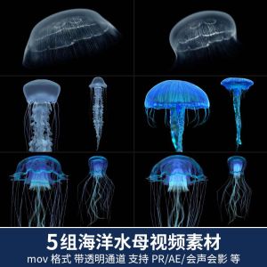 5组海洋水母视频素材