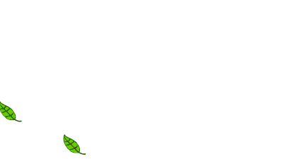 AN格式素材，树叶飘(1)