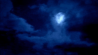 AN格式素材，夜晚月亮背景