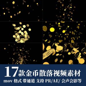 17款金币散落视频素材