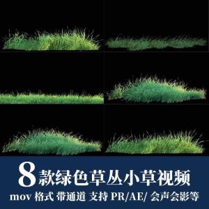 8款绿色草丛小草视频