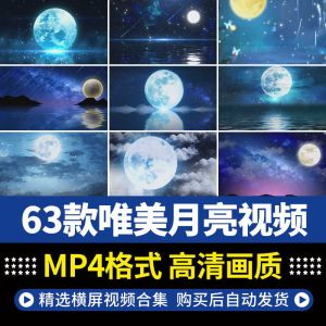63款唯美月亮视频