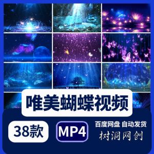 38款唯美蝴蝶视频