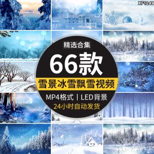 66款雪景飘雪视频