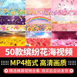 50款缤纷花海视频