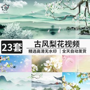 23套古风梨花视频