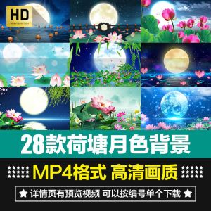 28套荷塘月色视频