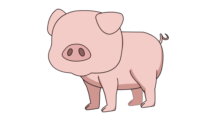 AN格式道具，猪