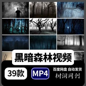 39款黑暗森林视频