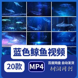 20款蓝色鲸鱼视频