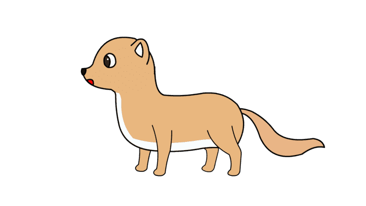 AN格式道具，黄鼠狼2