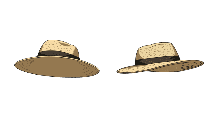 AN格式道具，草帽