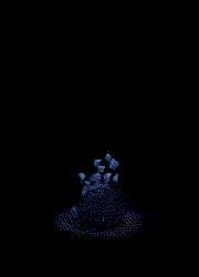 兽爪从下向上抓