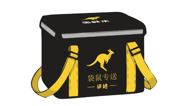 袋鼠外卖箱