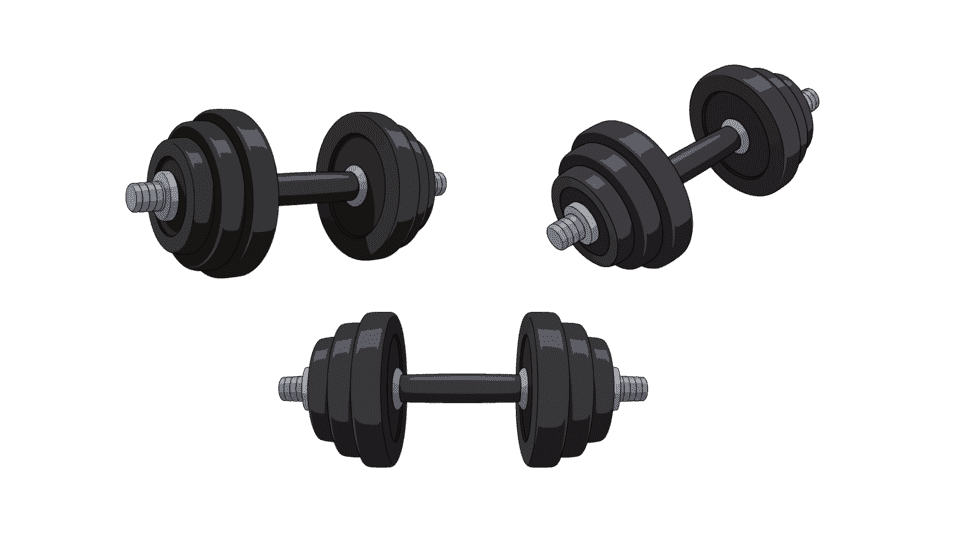 哑铃多视角.png
