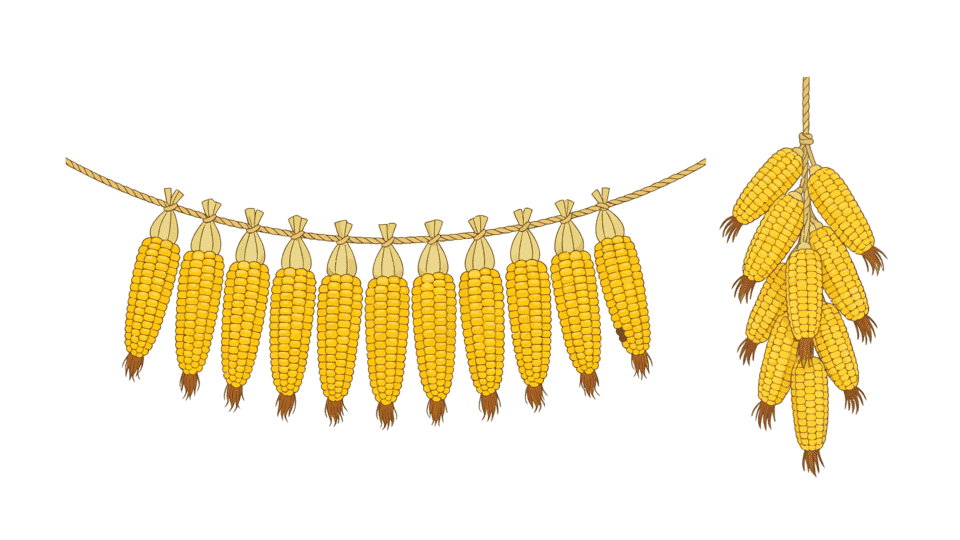 玉米串.png
